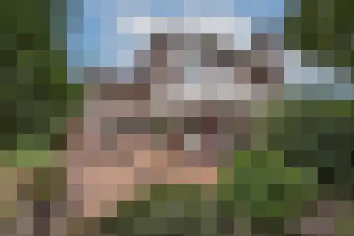 Hagslagen 75 Rijssen thumbnail 37