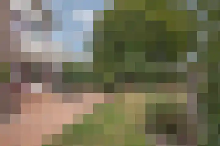 Hagslagen 75 Rijssen thumbnail 39