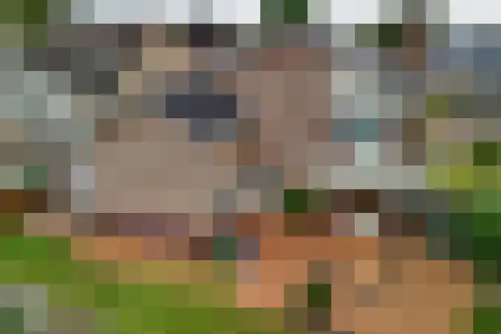 Hagslagen 75 Rijssen thumbnail 4