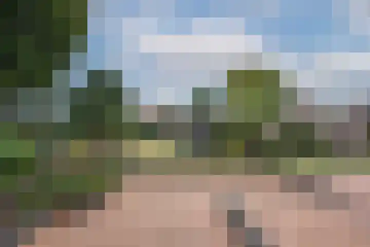 Hagslagen 75 Rijssen thumbnail 40
