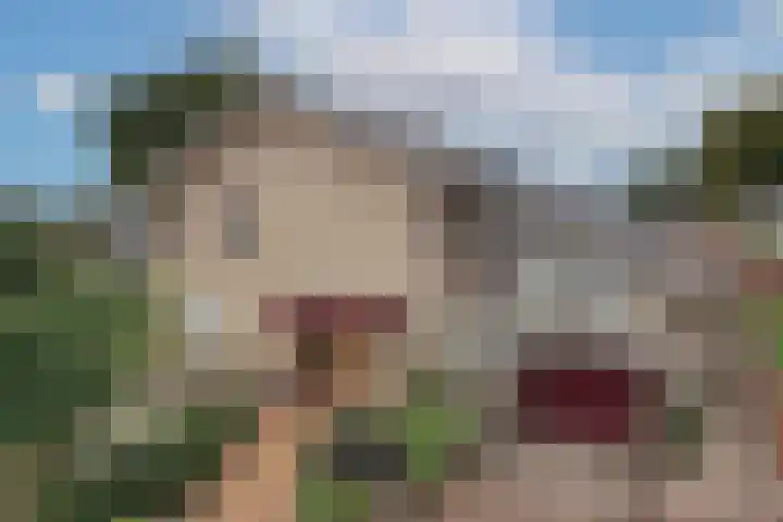 Hagslagen 75 Rijssen thumbnail 45