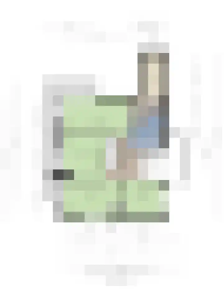 Hagslagen 75 Rijssen thumbnail 48