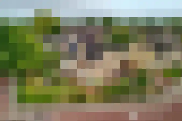 Hagslagen 75 Rijssen thumbnail 5