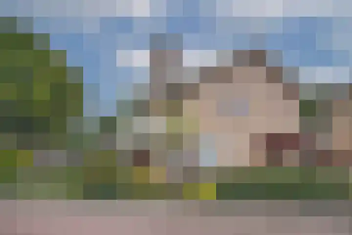 Hagslagen 75 Rijssen thumbnail 6