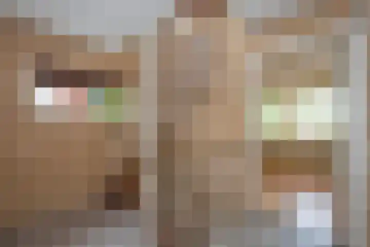Hagslagen 79 Rijssen thumbnail 10