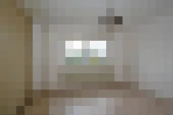 Hagslagen 79 Rijssen thumbnail 16