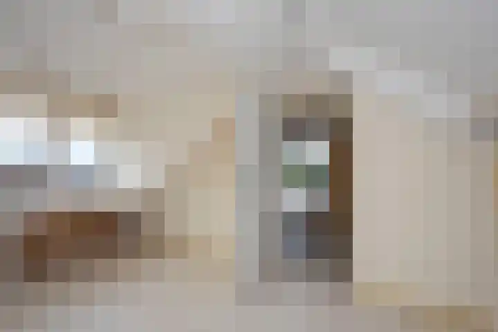 Hagslagen 79 Rijssen thumbnail 19