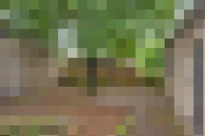 Hagslagen 79 Rijssen thumbnail 21