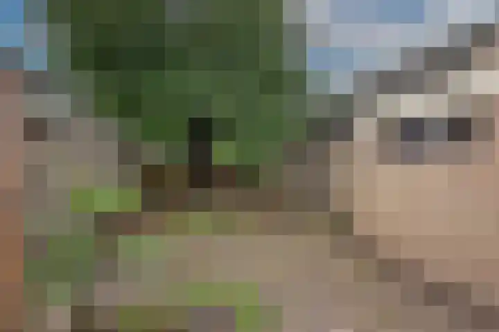 Hagslagen 79 Rijssen thumbnail 22