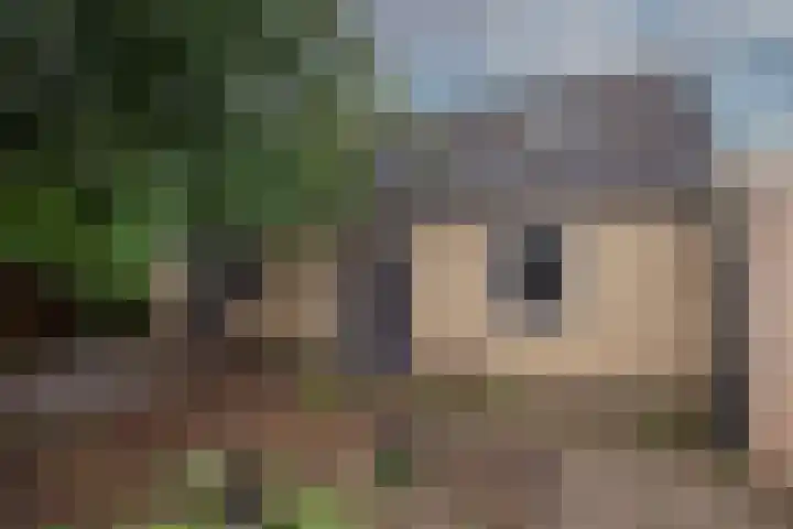 Hagslagen 79 Rijssen thumbnail 23