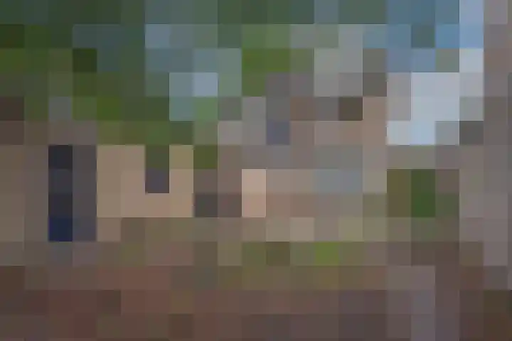 Hagslagen 79 Rijssen thumbnail 24