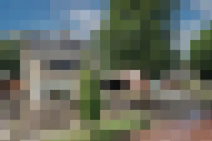 Hagslagen 79 Rijssen thumbnail 26