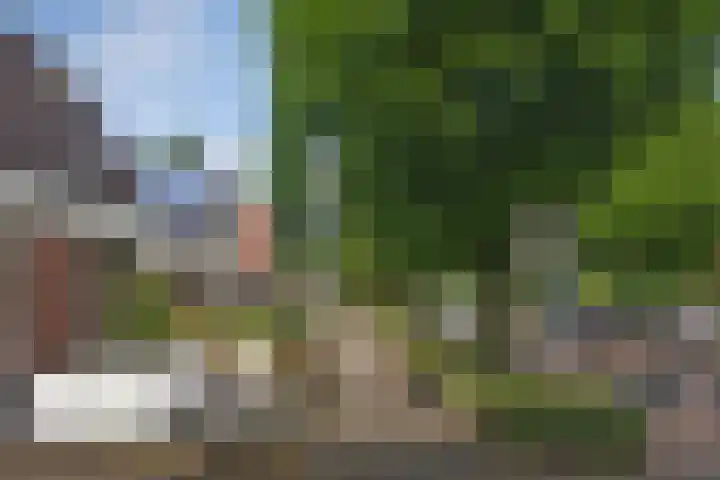 Hagslagen 79 Rijssen thumbnail 27