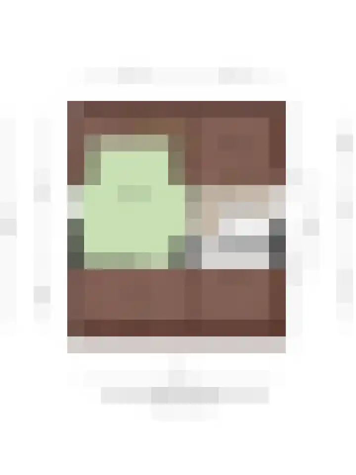 Hagslagen 79 Rijssen thumbnail 33