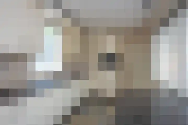 Hagslagen 79 Rijssen thumbnail 5