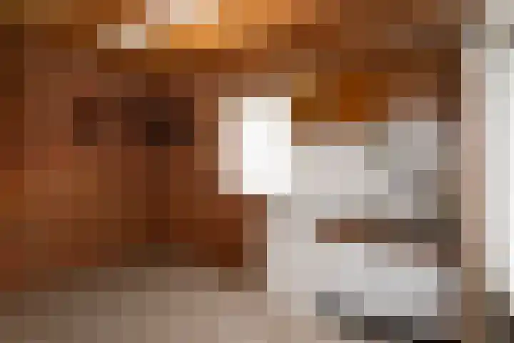 Hagweg 30 Rijssen thumbnail 37