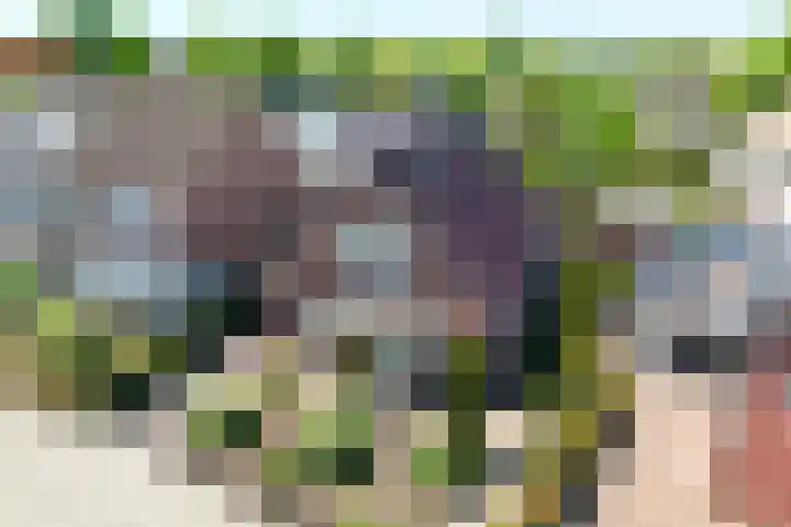 Hagweg 30 Rijssen thumbnail 40