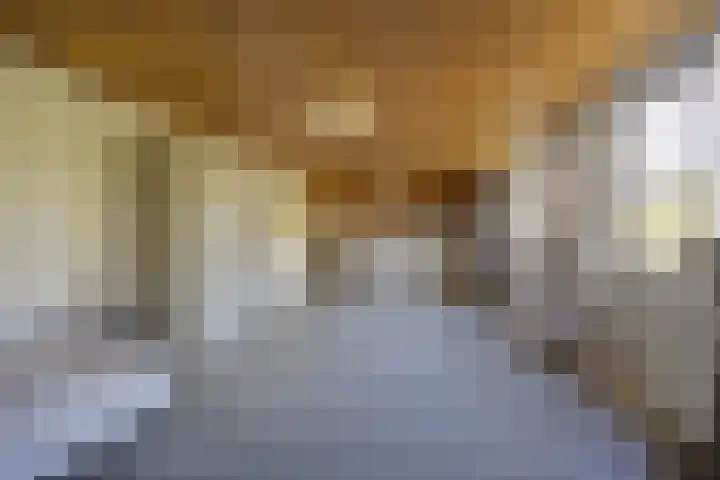 Haiinksestraat 6 a Roosendaal thumbnail 33