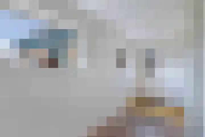 Haijehiem 4 Witmarsum thumbnail 10