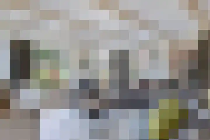 Haijehiem 4 Witmarsum thumbnail 11