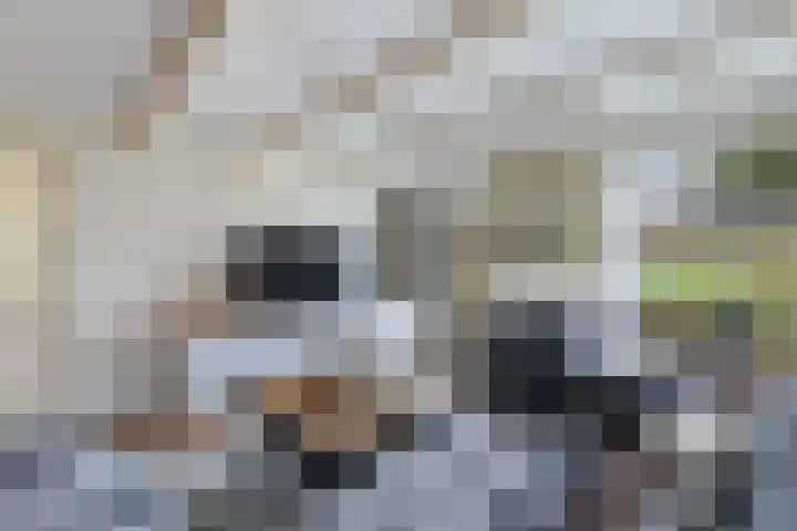 Haijehiem 4 Witmarsum thumbnail 12