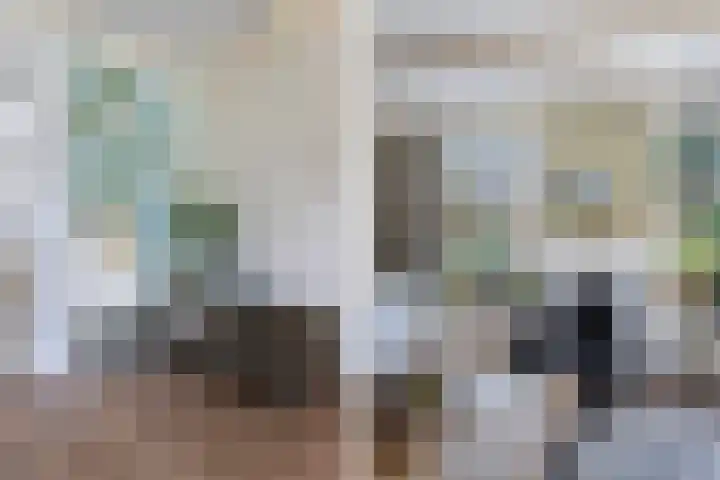 Haijehiem 4 Witmarsum thumbnail 13