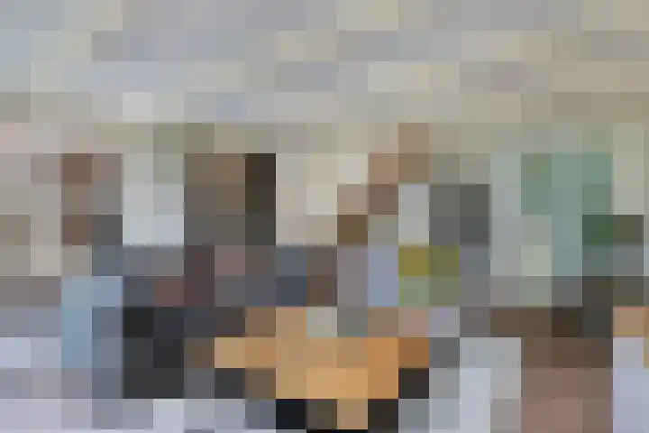 Haijehiem 4 Witmarsum thumbnail 14