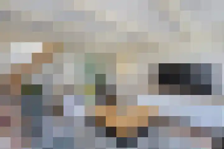 Haijehiem 4 Witmarsum thumbnail 16