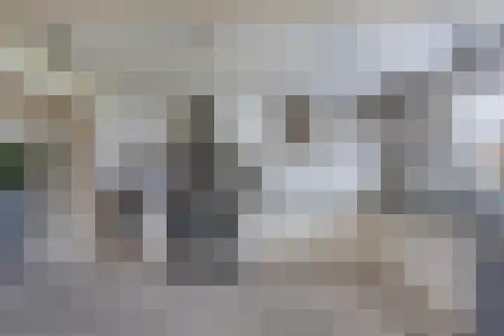 Haijehiem 4 Witmarsum thumbnail 17