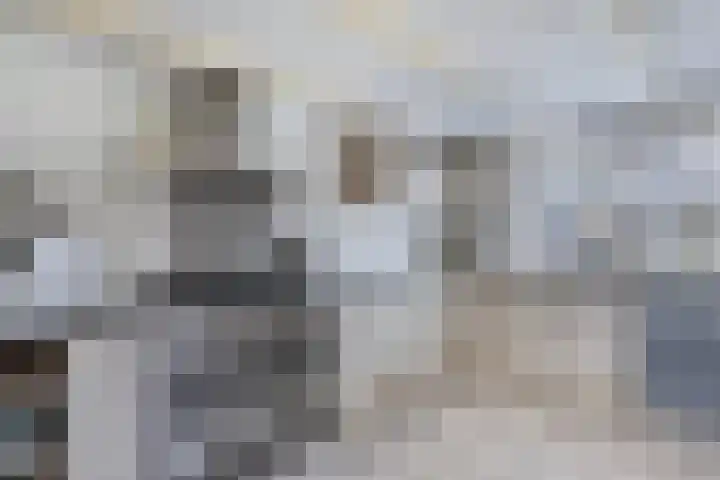 Haijehiem 4 Witmarsum thumbnail 18