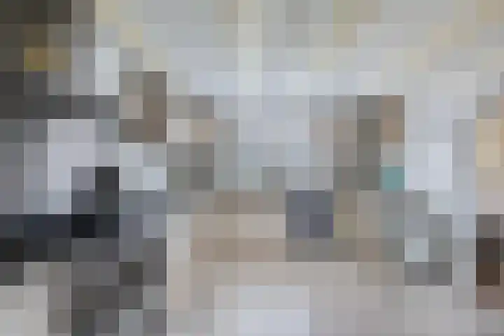 Haijehiem 4 Witmarsum thumbnail 19