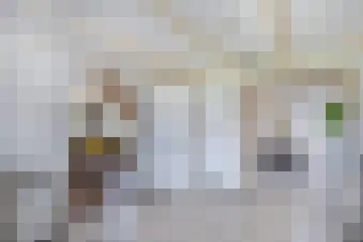 Haijehiem 4 Witmarsum thumbnail 20