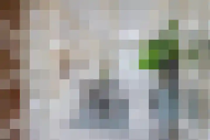 Haijehiem 4 Witmarsum thumbnail 21