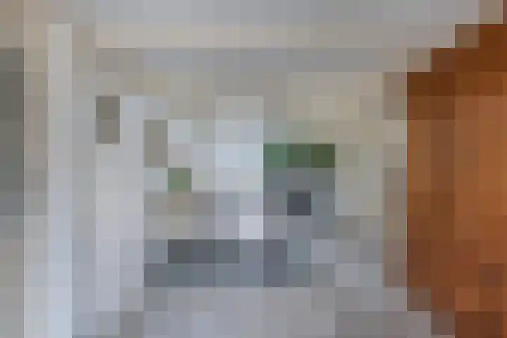 Haijehiem 4 Witmarsum thumbnail 22
