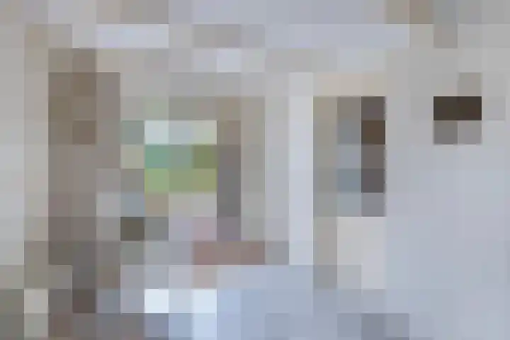 Haijehiem 4 Witmarsum thumbnail 23
