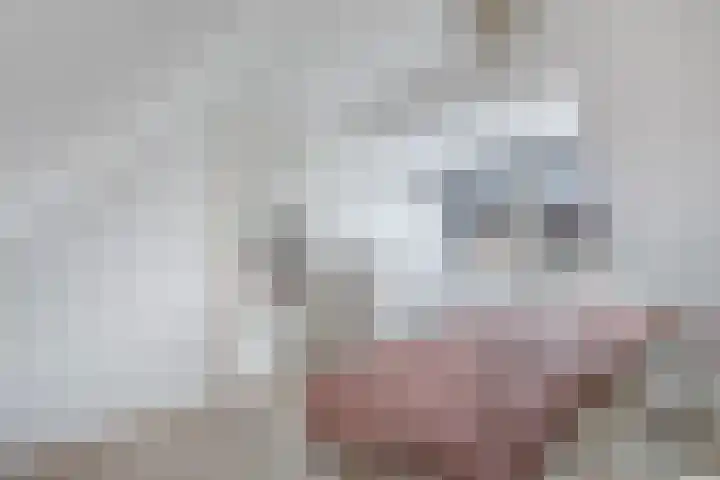 Haijehiem 4 Witmarsum thumbnail 29