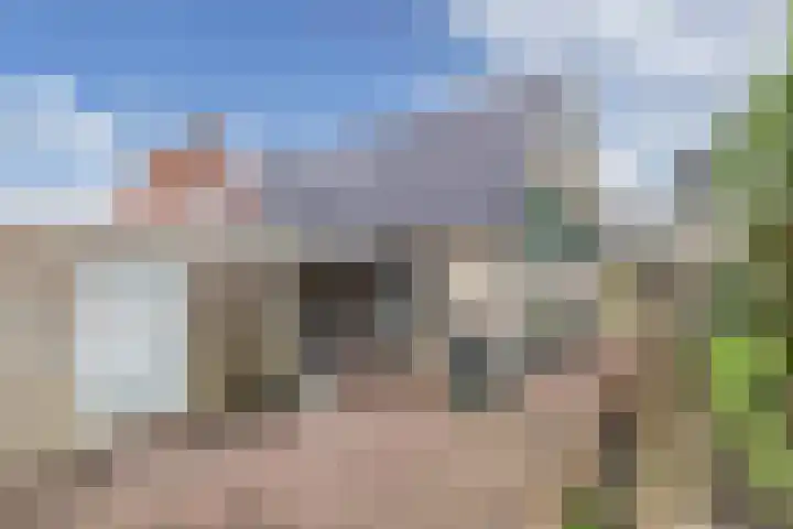Haijehiem 4 Witmarsum thumbnail 33