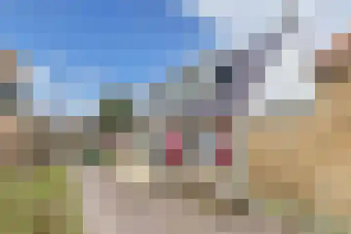 Haijehiem 4 Witmarsum thumbnail 39