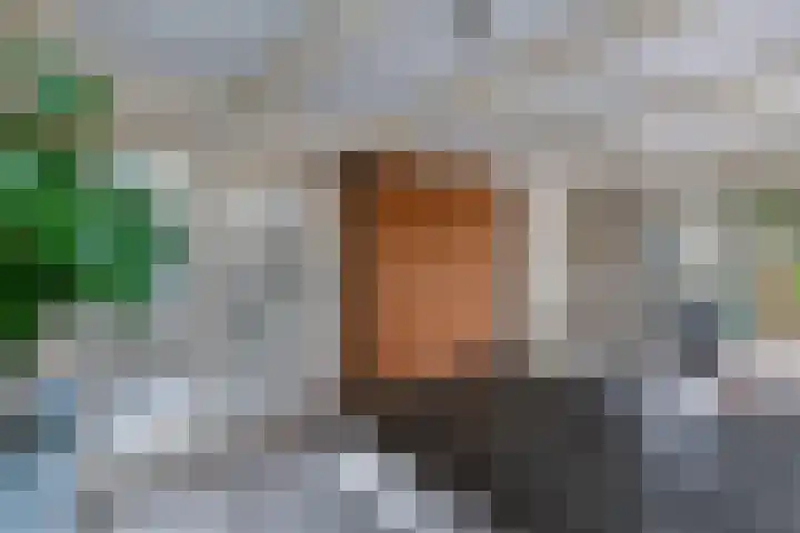 Haijehiem 4 Witmarsum thumbnail 4
