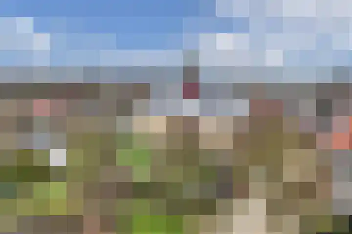 Haijehiem 4 Witmarsum thumbnail 41