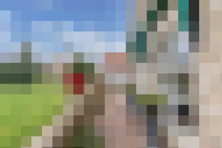 Haijehiem 4 Witmarsum thumbnail 8