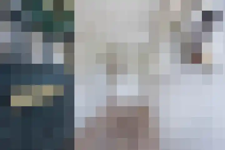 Haijehiem 4 Witmarsum thumbnail 9