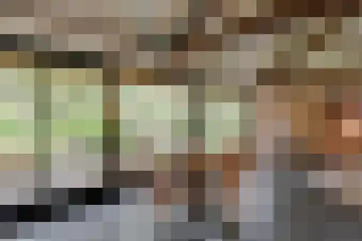 Haitsma Mulierlaan 16 Lochem thumbnail 9