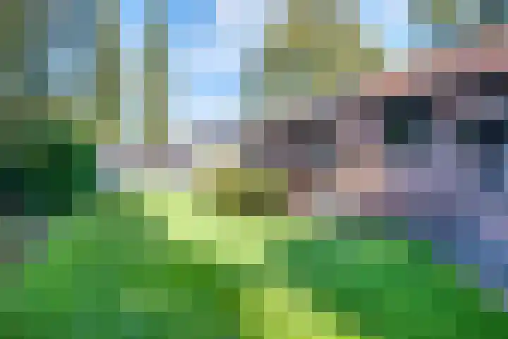 Haitsma Mulierlaan 16 Lochem thumbnail 31