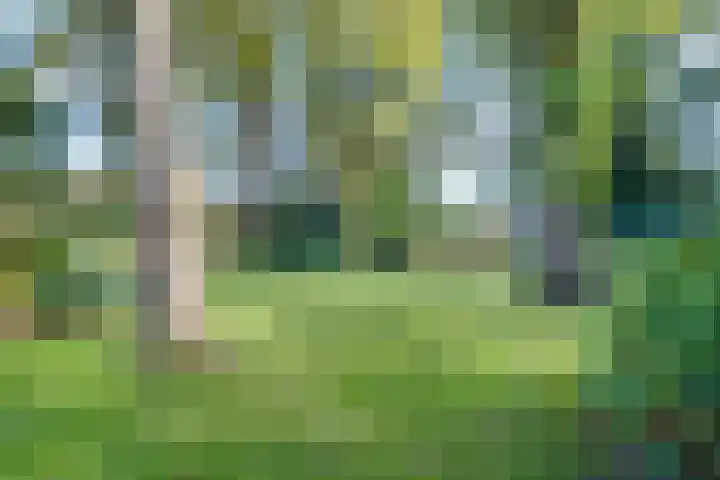 Haitsma Mulierlaan 16 Lochem thumbnail 32