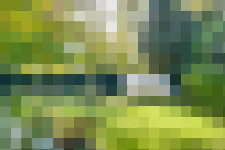 Haitsma Mulierlaan 16 Lochem thumbnail 33