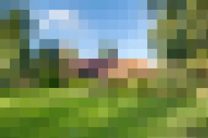 Haitsma Mulierlaan 16 Lochem thumbnail 4