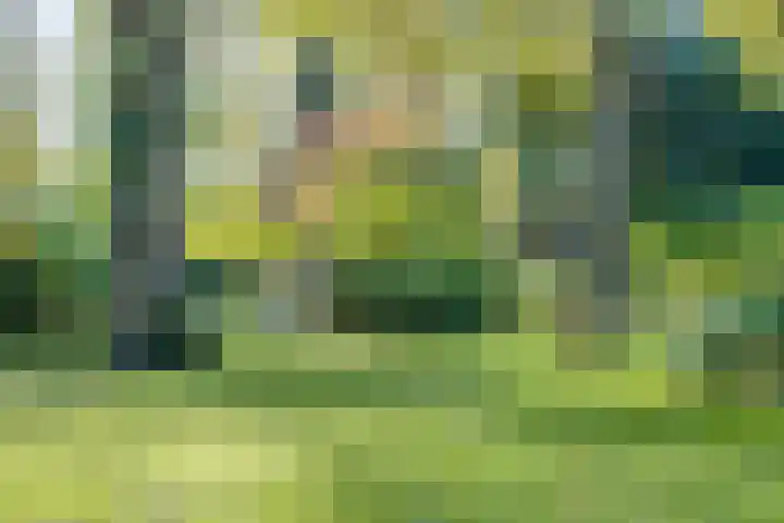 Haitsma Mulierlaan 16 Lochem thumbnail 37