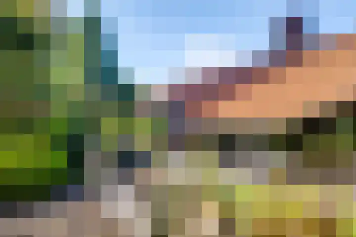 Haitsma Mulierlaan 16 Lochem thumbnail 38