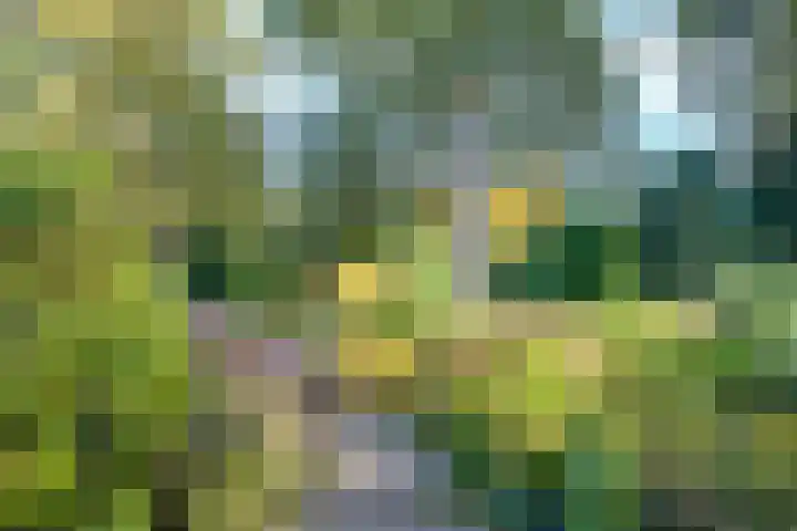 Haitsma Mulierlaan 16 Lochem thumbnail 41